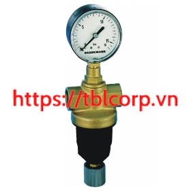 D22-11/4A Van giảm áp Resideo Braukmann