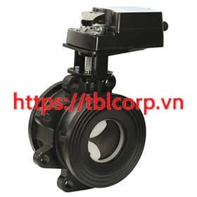 EBV Van bi điều khiển DN65 đến DN150