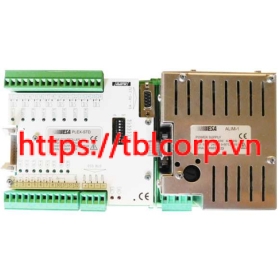 PLEX-STD ESA Bộ điều khiển đầu đốt