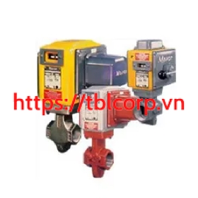 High Pressure Electro Mechanical Gas Safety Shut off Valves