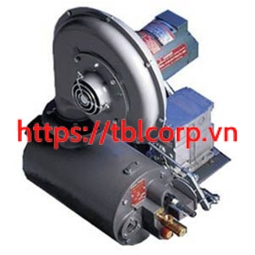 ĐẦU ĐỐT MAXON HONEYWELL TUBE O THERM IMMERSION TUBE BURNERS