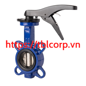 V60010025 Van bướm DN25