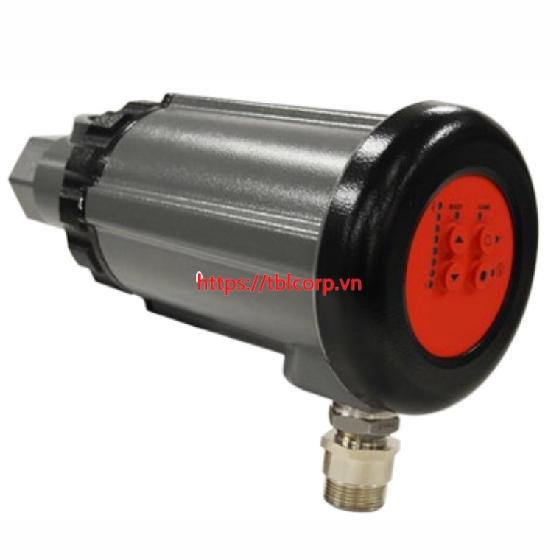 Cảm biến dò lửa P122AFSAF8