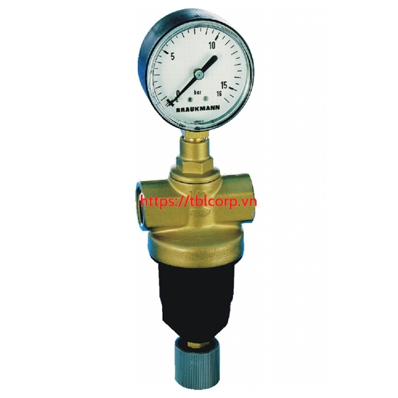 D22-11/4A Van giảm áp Resideo Braukmann