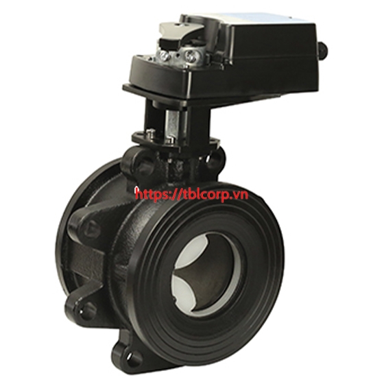 EBV Van bi điều khiển DN65 đến DN150