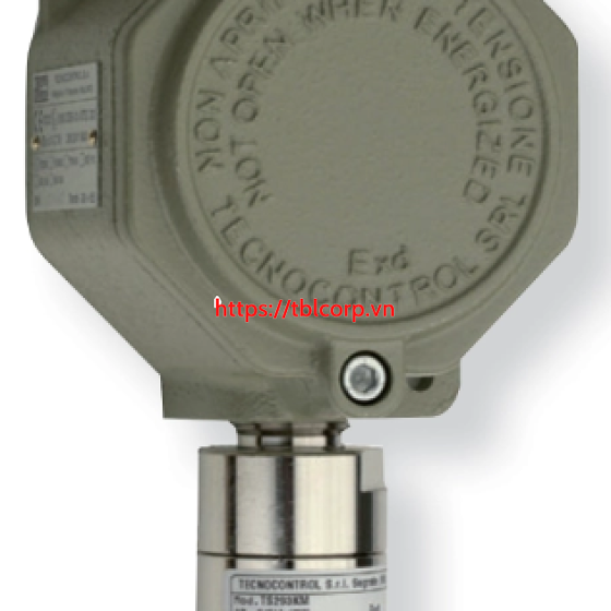 Máy dò khí TS293 Technocontrol 
